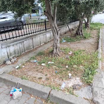 Çiğli Belediyesi Çöpçü Grevi Ve Arızalı Asansörler