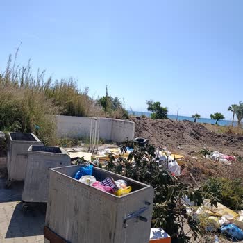 Ürkmez Doğanbey’de Kedi Evi Yanındaki Çöp Alanı Temizlenmedi, Giriş Engellendi