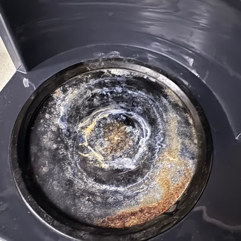 Electrolux Filtre Kahve Makinesinde Kısa Sürede Paslanma Ve Değişim Talebi