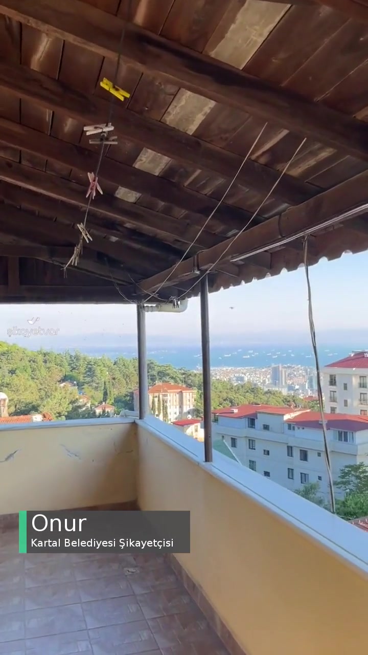Kartal Belediyesi Sivrisinek İlaçlaması Yapılmıyor! videonun kapak resmi