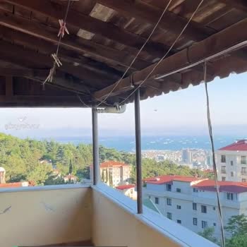 Kartal Belediyesi Sivrisinek İlaçlaması Yapılmıyor!