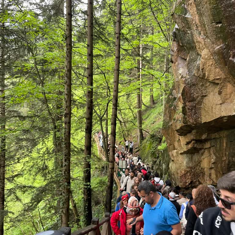 Karadeniz Turunda Rehber Davranışıyla İlgili Şikayet
