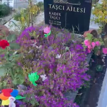 Kilyos Mezarlığı'nda Aile Mezarı Sistemli Zarar Görüyor, Güvenlik Eksikliği