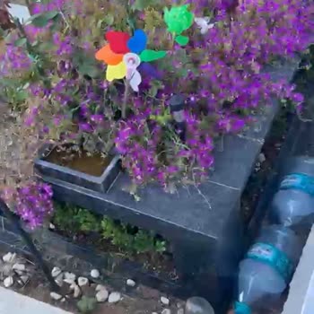 Kilyos Mezarlığı'nda Aile Mezarı Sistemli Zarar Görüyor, Güvenlik Eksikliği