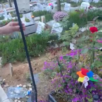 Kilyos Mezarlığı'nda Aile Mezarı Sistemli Zarar Görüyor, Güvenlik Eksikliği