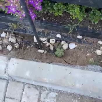 Kilyos Mezarlığı'nda Aile Mezarı Sistemli Zarar Görüyor, Güvenlik Eksikliği