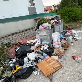 Akhan Mahallesi Çöp Konteyneri Ve Hayvan Leşi Acilen Temizlenmeli