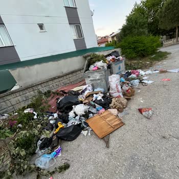Eki aç