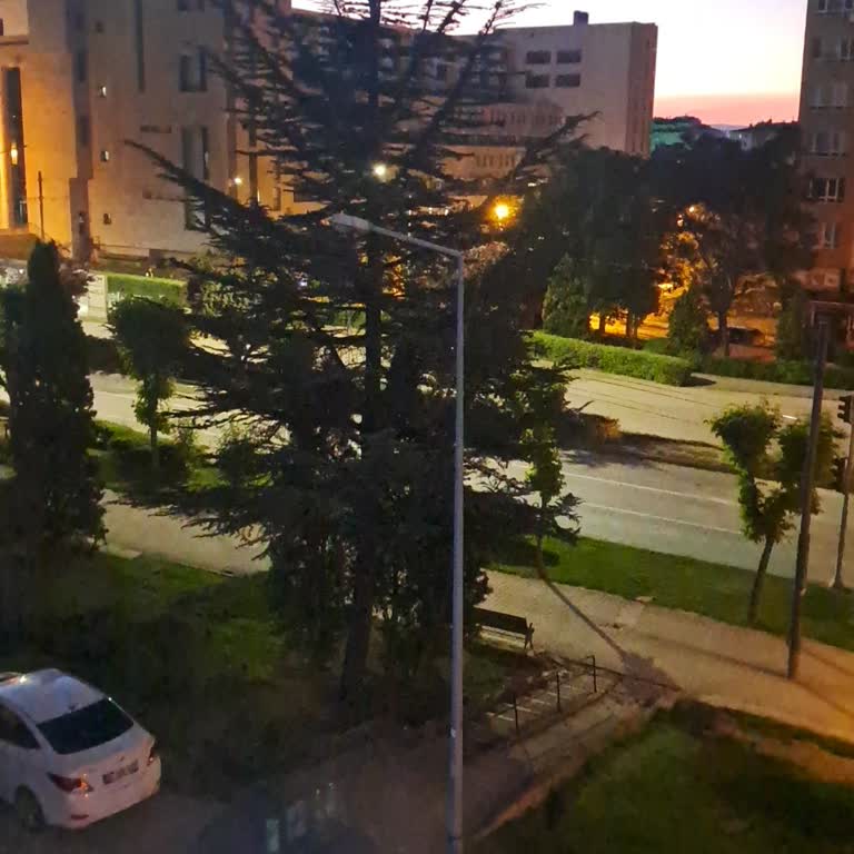 Aydınlatma Direği Hâlâ Arızalı, Sokak Karanlık