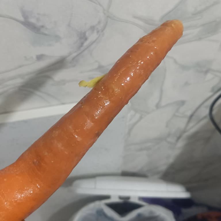 Sebze Bölmesinde Sürekli Bozulma Ve Çözülmeyen Servis Sorunu, Ürün Değişimi Talebi