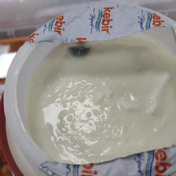 Kebir Markasının Yağlı Yoğurdunda Küflenme Sorunu