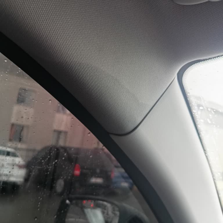 Yoğun Yağmurda A Sütunundan Su Sızması Sorunu Ve Araç Değişimi Talebi