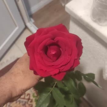 Yanıltıcı Ürün Gönderimi Ve Çözüm Sağlanamaması
