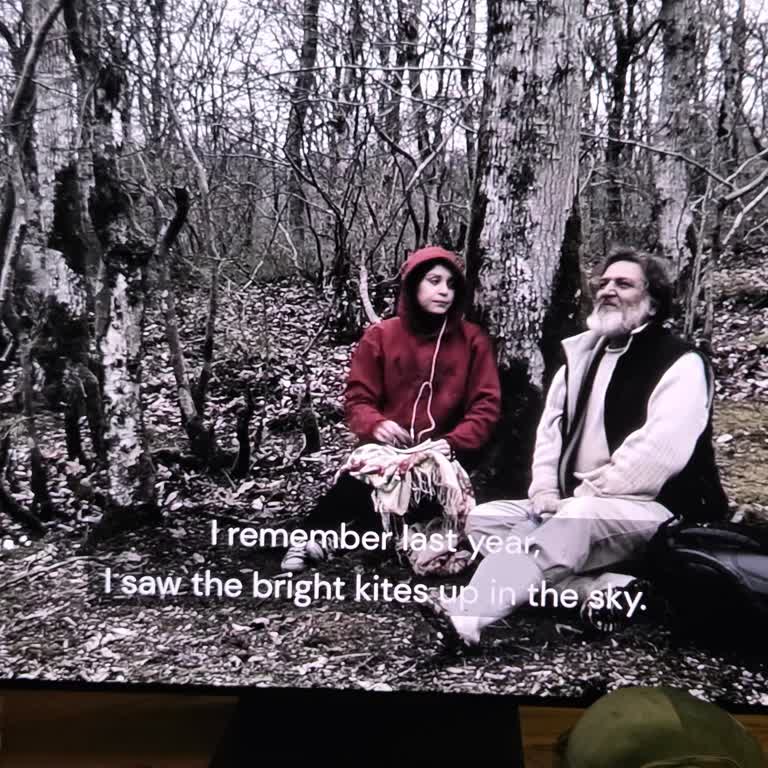 Mubi TV’de Türkçe Alt Yazı Eksikliği