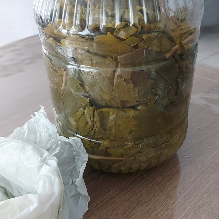 Yarım Boş Ve Çürük Salamura Yaprak İçin İade Ve Cevap Talebi