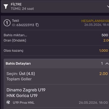 Kazanan Bahis Ödemesi 7 Saatte Sonuçlanmadı, Queenbet Destek Oyalıyor