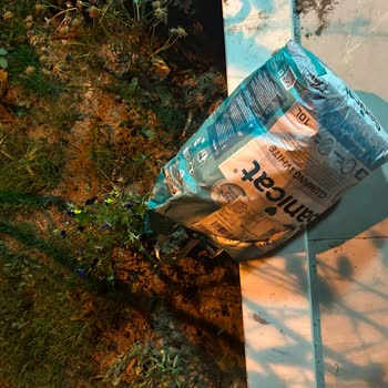 Kolay Gelsin Kargom Bahçeye Atıldı, Çiçeklerim Zarar Gördü