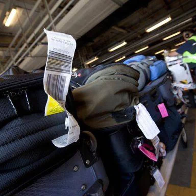 Expedia Failed to Disclose Baggage Fees and Ignored Support Requests