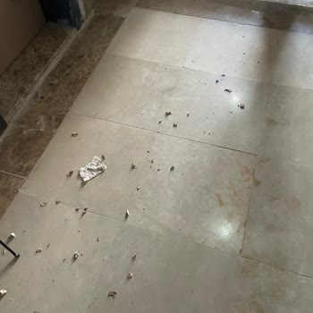Adana 953 Konut Buruk’taki Temizlik Ve Bakım İhmali Çözüm Bekliyor
