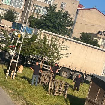 Avcılar'da Sokakta Kontrolsüz Kurban Kesimi Ve Belediyenin İlgisizliği