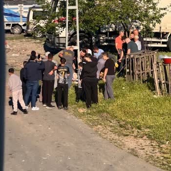 Avcılar'da Sokakta Kontrolsüz Kurban Kesimi Ve Belediyenin İlgisizliği
