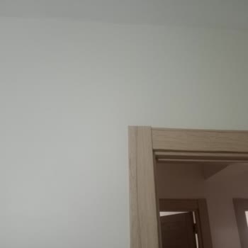 Polisan Elegans Boya Yanlış Renk Çıktı