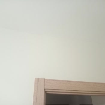 Polisan Elegans Boya Yanlış Renk Çıktı