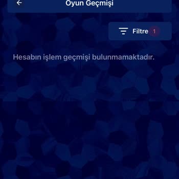 Hesap Bakiyem Silindi Ve Yetkisiz Giriş İddiaları
