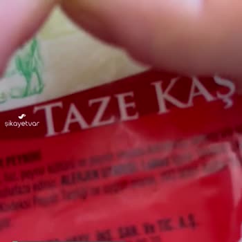 Yöre Süt Ürünleri Peynirci Babadan Aldığımız Kaşar Peyniri