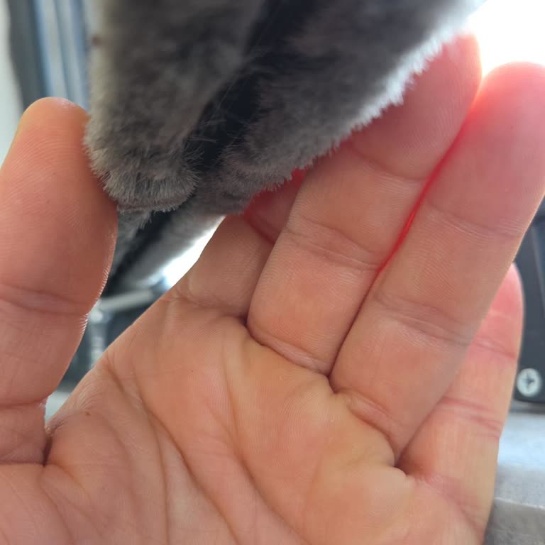 Söz Verilen Gömme Kulp Ve Çift Katlı Fitiller Yerine Normal Kulp Ve Tek Katlı Fitiller Kullanıldı