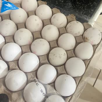Migros Tatvan'da Satılan Yumurtalar Küflü Ve Kötü Kokulu: Ücret İadesi Talebi