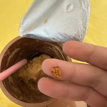 Üretim Aşamasında Ceviz Kabuğu Bırakan Dondurmanın Sağlık Riski