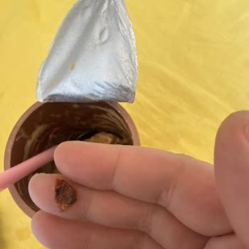 Üretim Aşamasında Ceviz Kabuğu Bırakan Dondurmanın Sağlık Riski