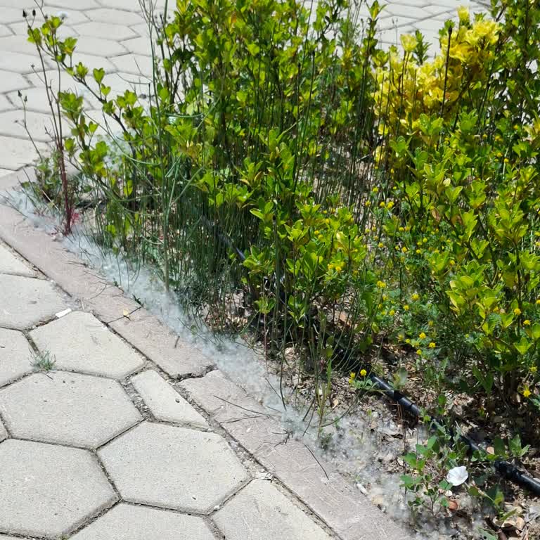 Sazova Parkı’nda Nefes Aldırmayacak Polen Ve Masal Şatosu’nda Tek Gişe