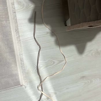 Defolu Gömlek Ve Kısa Kemer Üzerine Yetkisiz İade Ve İlgisiz Müşteri Desteği