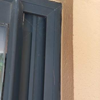 Kirli Oda, Örümcek Ağı Ve Sineklik Eksikliği İçin Acil Oda Değişikliği Talebi