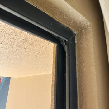 Kirli Oda, Örümcek Ağı Ve Sineklik Eksikliği İçin Acil Oda Değişikliği Talebi