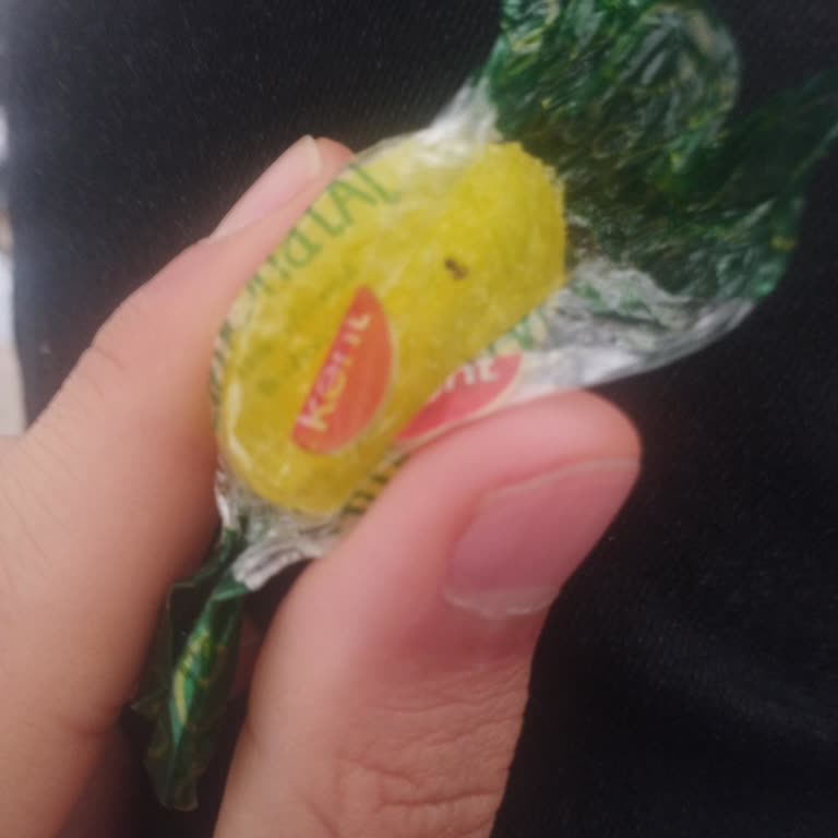 Şeker Paketi İçinde Karınca Buldum: Hijyen Ve Sağlık Endişesi
