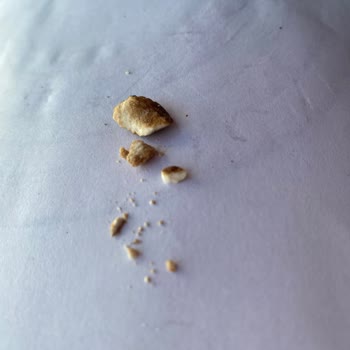 Harras Dondurulmuş Sebzelerinde Sert Taş Gibi Yabancı Madde Bulundu