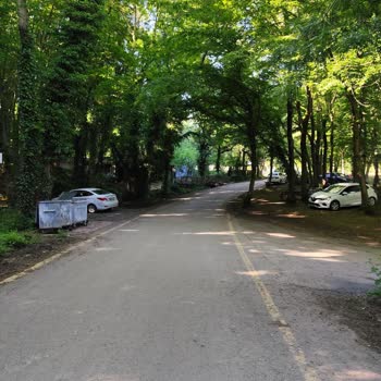 Kağıthane Mesire Alanı Giriş Personelinin Hakaretli Ve Saygısız Davranışı