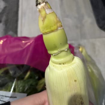 Migros Hemen'den Çürük Ürün Ve İade Talebine Cevap Yok