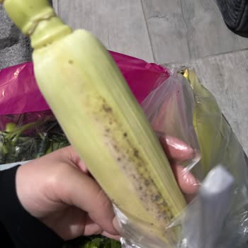 Migros Hemen'den Çürük Ürün Ve İade Talebine Cevap Yok