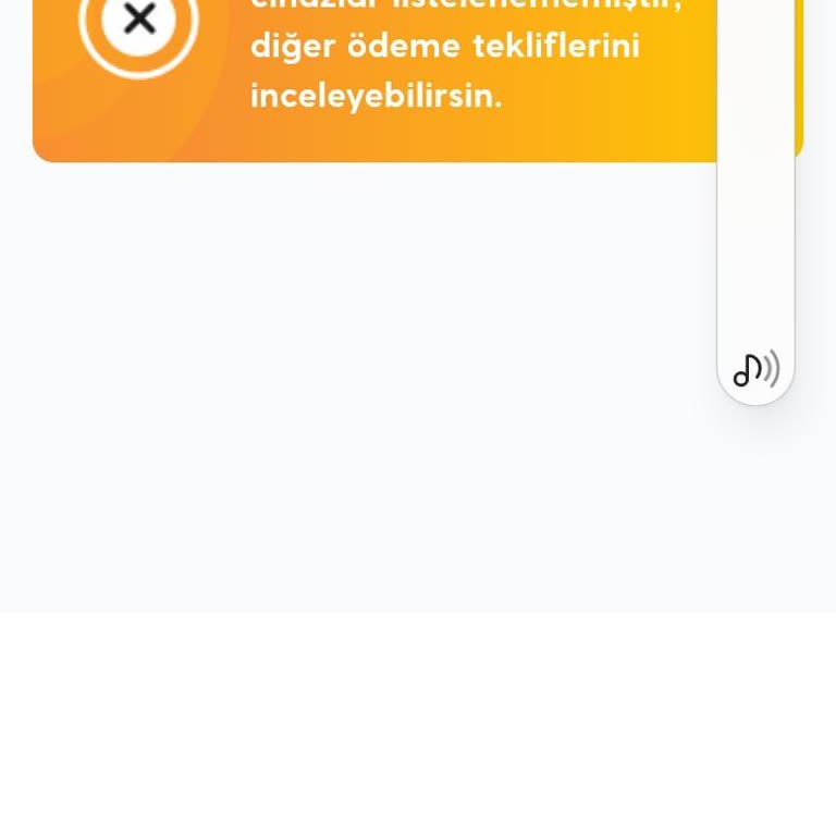 20.000 TL Pasaj Limitimin Geri Ödenmemesi Ve Siparişin Teslim Edilmemesi