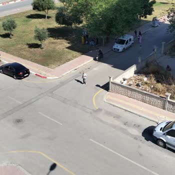 Zabıta Yanıt Vermedi: Parkta Koyun Kesimi Şikayetim Sonuçsuz