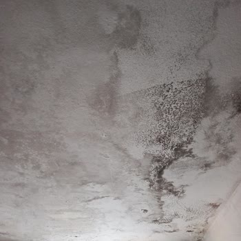 Neova Sigorta’nın Yetersiz Ödemesi Ve Hasarlı Evim Kullanılamaz Durumda