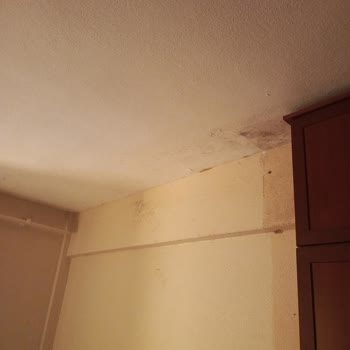 Neova Sigorta’nın Yetersiz Ödemesi Ve Hasarlı Evim Kullanılamaz Durumda