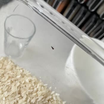 Şok Markette Baldo Pirincinde Böcek Tespiti Hijyen İhlali