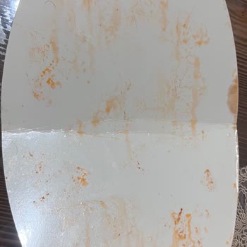 Kapağın İçinde Saç Ve Kıl: İskender Şubesine Denetim Çağrısı