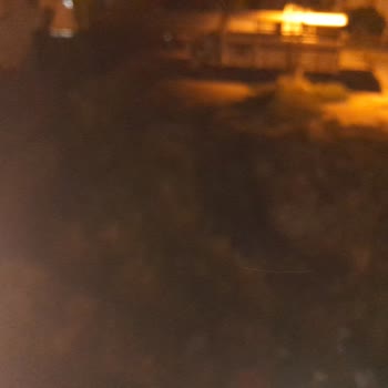 Arsadan Gelen Pireler Çocuklarımızı Zor Duruma Sokuyor Ve Acil Temizlik Talebi