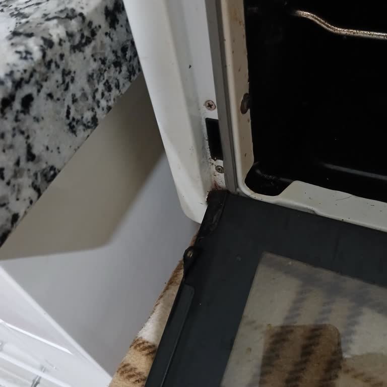 Kapak Menteşesi Koptu, Ücretsiz Değişim İstiyorum